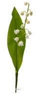 Muguet artificiel 1 brin avec feuillage H 21 cm superbe