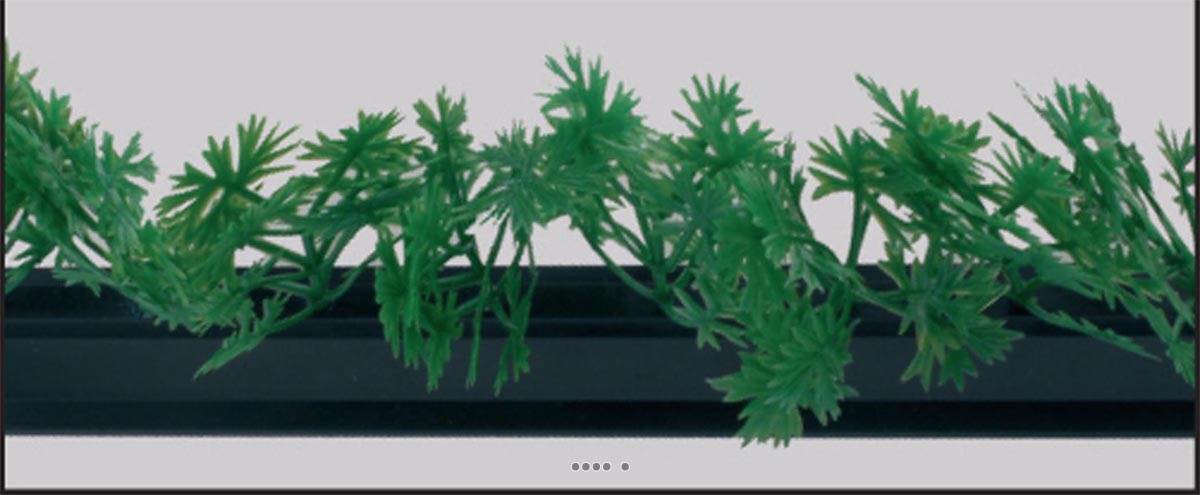 artificielles Barrette X 12 entre plats separateurs socle noir L 25 cm feuillage Persil du site Artificielles.com
