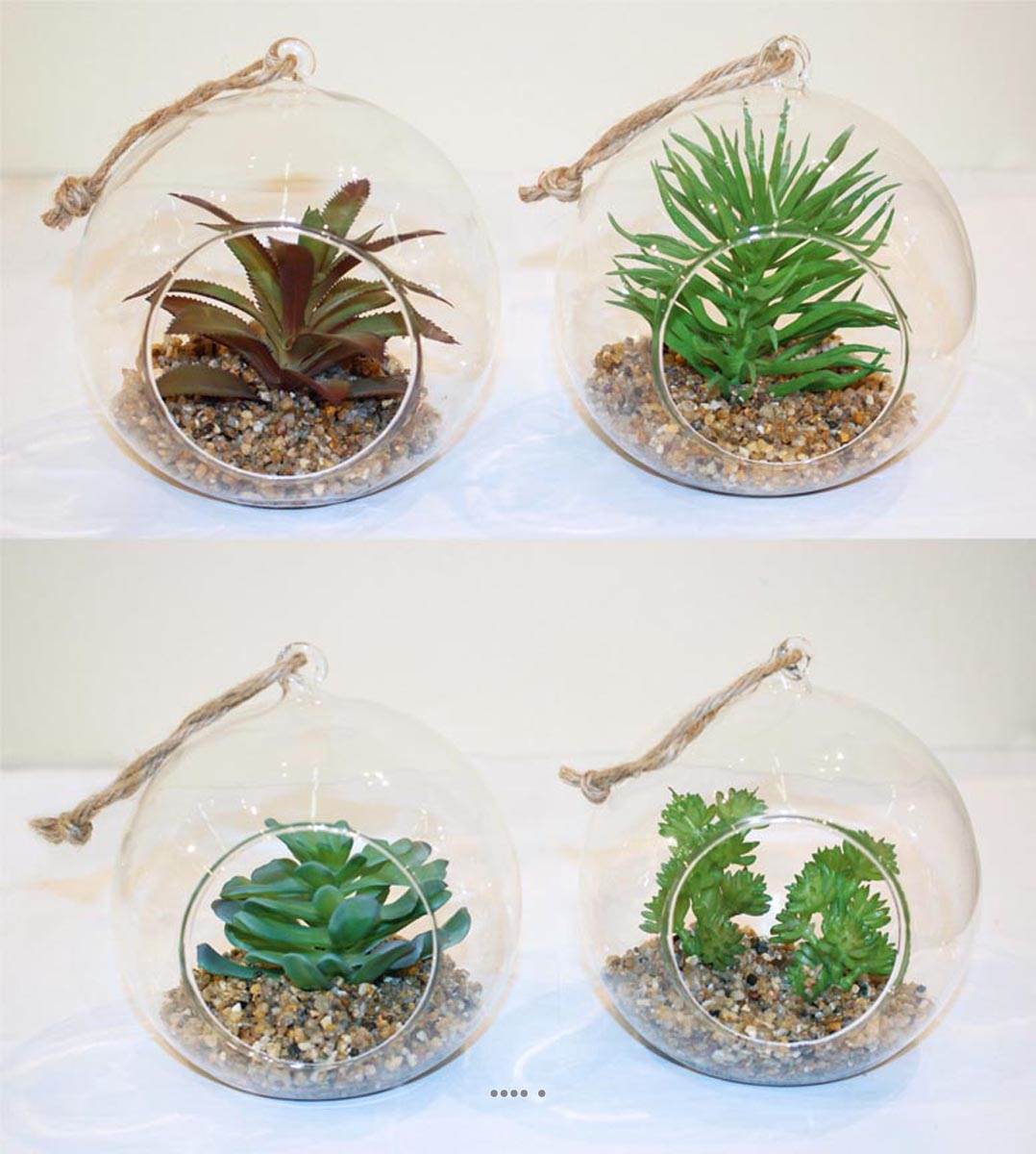 Plante grasse artificielle succulente cactee en bulle de ...