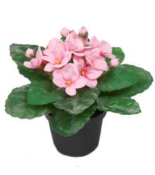 Saint Paulia artificiel en pot H 16 cm très fleuri Rose