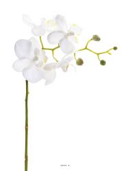 Orchidee Phalaenopsis Artificiel Blanc H 30 cm mini fleurons