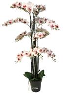 Orchidée Phalaenopsis factice Top Qualité & pot H140cm Rose-pâle-BEST