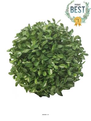 Boule de buis factice feuilles PE protection UV H 13 cm Vert - BEST