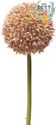 Allium artificiel en tige, spécial grande taille, H 68 cm Rose - BEST