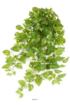 Pothos artificiel retombant en pot, L 100 cm