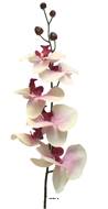 Tige d’orchidée phalaenopsis artificielle, H78 cm Pourpre-blanc - BEST