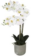 Orchidée phalaenopsis faux 2hampes 14fleurons en pot H60cm D20cm Crème