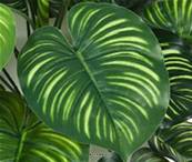 Calathea artificiel en piquet 22 feuilles, H 45 cm Vert