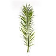 Feuilles de Palmier Phoenix artificielles x 18 H 165 cm