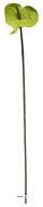 Anthurium artificiel H 67 cm Vert-jaune