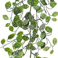 Guirlande de feuilles d'eucalyptus artificiel vert L 180 cm