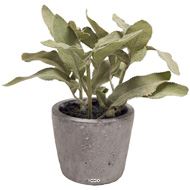 Herbe aromatique artificielle Sauge H 17 cm, D 16cm