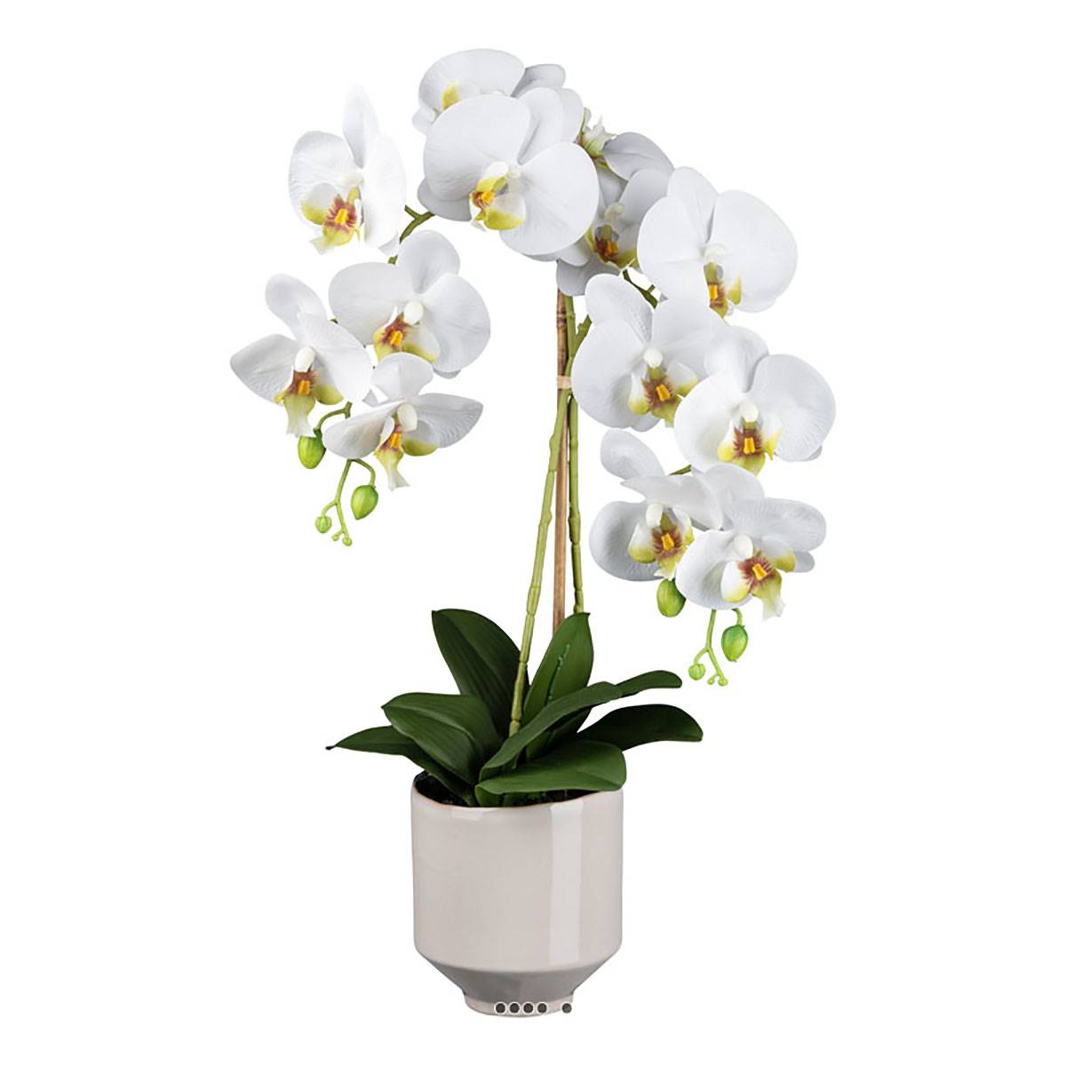 Orchidée artificielle lycaste 60 cm - Tiges d'orchidées artificielles -  Artiplantes
