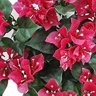 Bougainvillier artificiel retombant en piquet pour exterieur L 50 cm