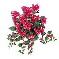 Bougainvillier artificiel retombant en piquet pour exterieur L 50 cm