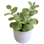 Herbe aromatique artificielle Menthe H 17 cm, D 11cm pot Béton
