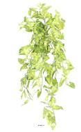 Chute de syngonium artificiel H 80 cm Vert