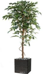 Ficus Benjamina factice grande feuille tronc naturel, pot H210 cm Vert