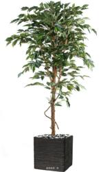 Ficus Benjamina factice grande feuille tronc naturel, pot H120 cm Vert