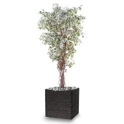 Ficus Benjamina artificiel Panache petite feuille tronc lianes en pot tronc naturel H 180 cm Blanc-vert