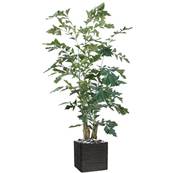 Palmier Caryota Artificiel H 190 cm L 80 cm en pot