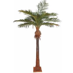Palmier Coco artificiel H 700 cm D 320 cm 19 palmes sur platine