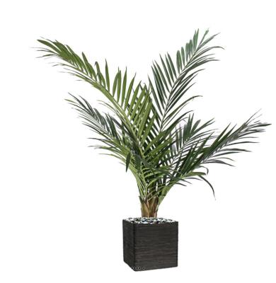 Palmier Kentia artificiel H 140 cm D 130 cm en pot Anti-UV