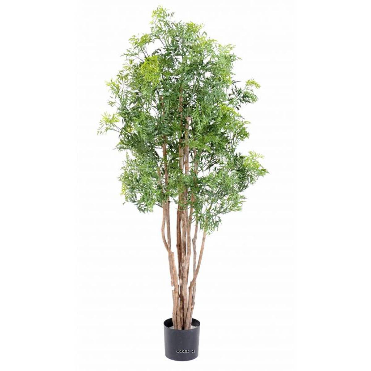 artificielles Aralia Arbre Artificiel| Artificielles.com