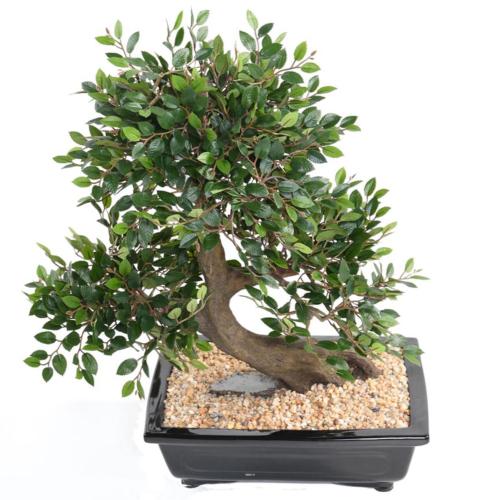 Bonsaï Orme de Chine Artificiel H 50 cm D 45 cm en pot