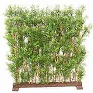 Haie d'eucalyptus artificiel sur socle pour extérieur H 110 cm L 105 cm