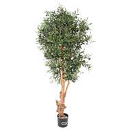 Olivier artificiel avec olives en pot tronc bois noueux  H 170 cm Vert D 80 cm