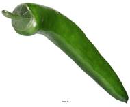 Piment artificiel Vert légume L 15 cm D 2 cm