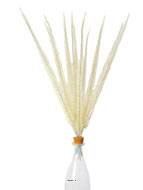 Corail en piquets X12 Blanc H 52 cm plastique superbe en bouquet