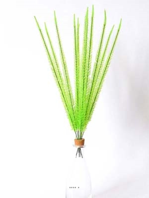 Corail en piquets X12 Vert H 52 cm plastique superbe en bouquet