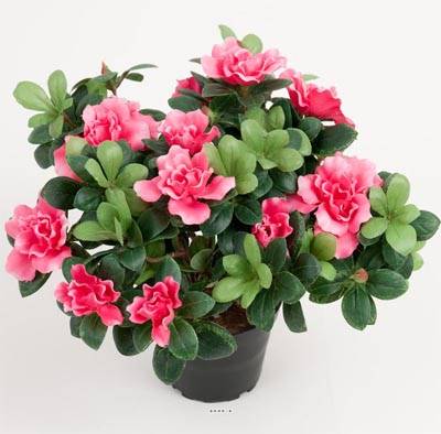 Azalee artificielle en pot H 25 cm D 30 cm qualité top Rose fushia