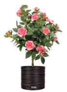 Rosier Boule factice en pot H42cm lesté adorable Rose soutenu