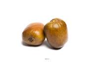 Kiwi artificiel en lot de 2 en Plastique souffl D 65x70 mm