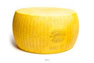 Meule de Parmesan artificiel en Plastique souffl D 440x210 mm