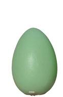 Œuf vert artificiel en lot de 12 en Plastique soufflé H 170x100 mm