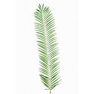 Feuille de palmier Cycas artificielle en tergal H 110 cm Vert