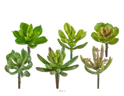 Plantes grasses artificielles succulentes cactées X6 têtes melangees