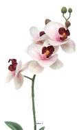 Orchidée Phalaenopsis factice en pot top qualité H35cm Rose-crème-BEST