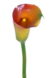 Arum calla Zantedeschia artificiel H 55 cm Vert-rouge