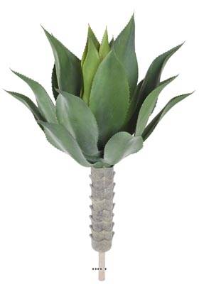 Agave, Aloé vera, artificielle en piquet H 75 cm Vert