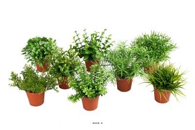 Herbes fausses variées mini plantes assorties 8 pots Feuilles H9-12cm