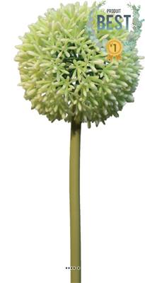 Allium factice en tige, spécial grande taille, H68cm Crème vert - BEST