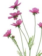 Cosmos artificiel en tige, H 92 cm Rose soutenu - BEST