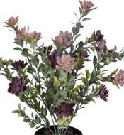 Succulente fleurie factice en pot cactée Violet H30cm D25cm plastique 