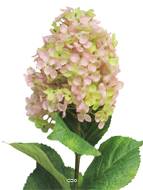 Lilas artificiel en tige, H 85 cm Vert-rose - BEST