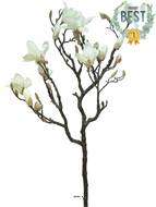 Fleurs de Magnolia artificiel en branche, H 128 cm Crème - BEST